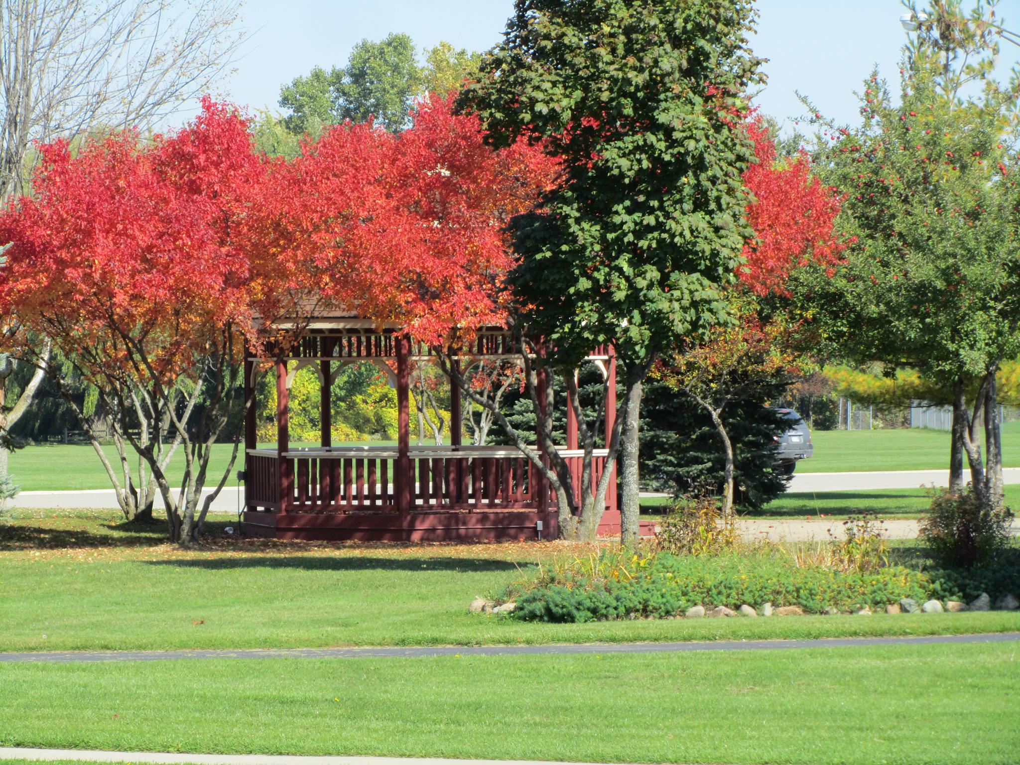 12132635_931101913630758_9096545220618389768_o