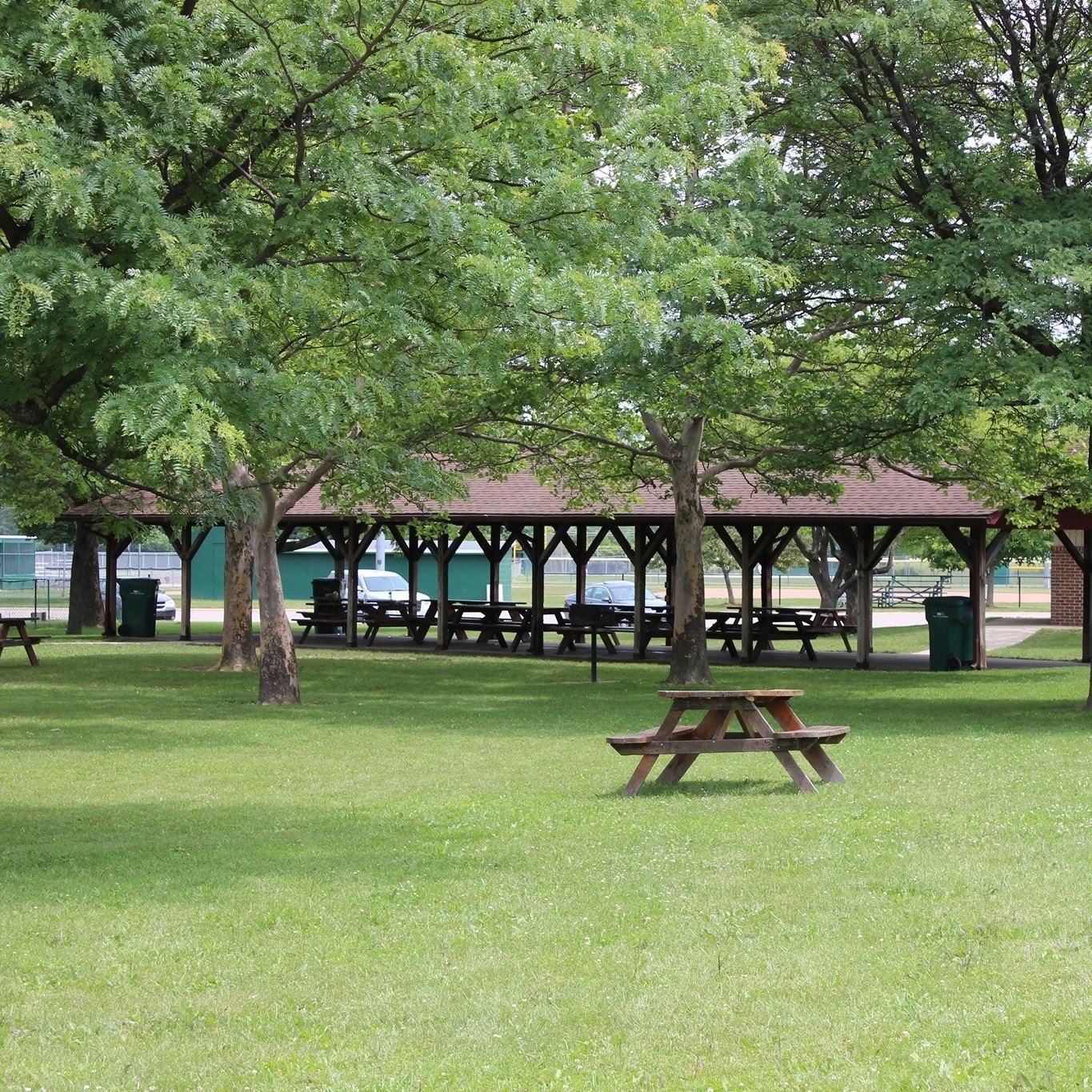 66433522_2827953530612244_8996796483172827136_n