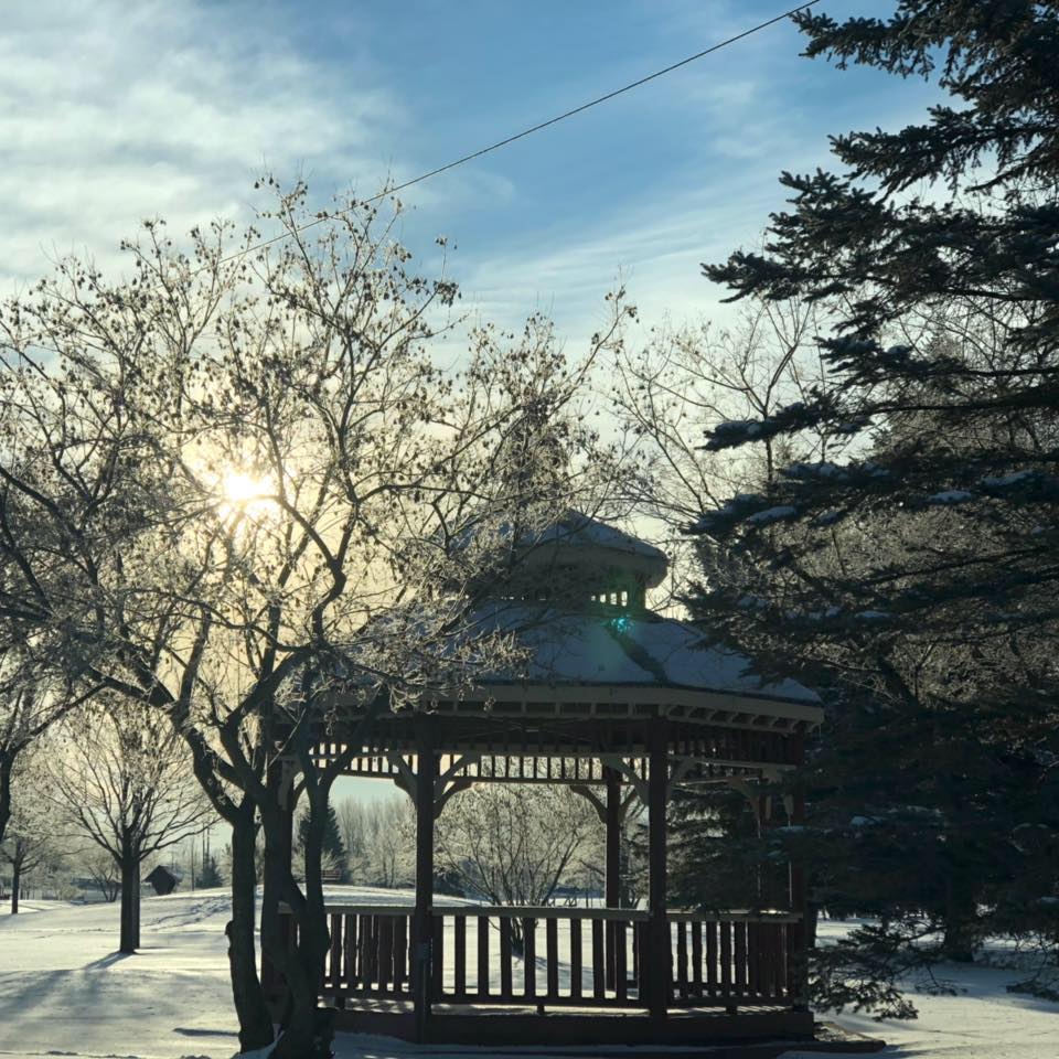 272211047_240728998235783_6107789809635105604_n