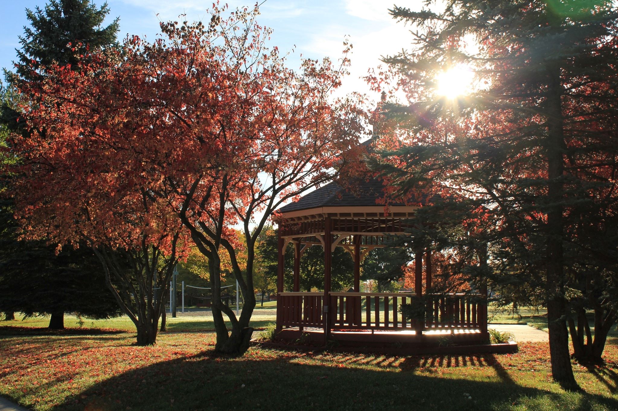 309162096_410526397922708_2125396724412241069_n