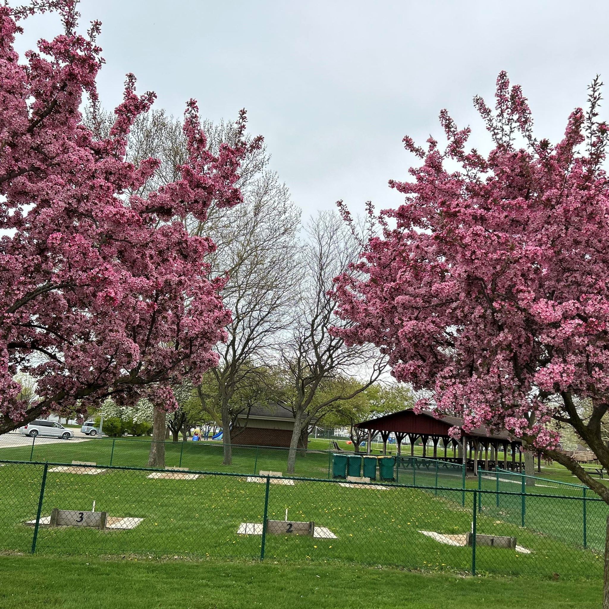 345909294_252580974099482_4579993281377034633_n