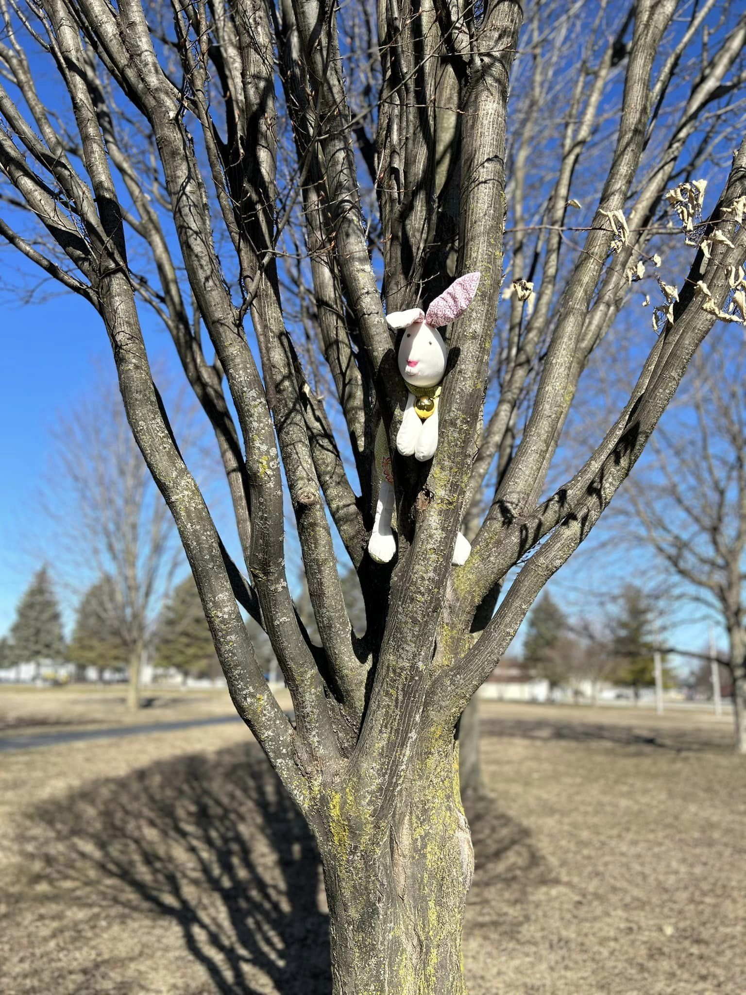 338939224_624644919506123_4801330789860628931_n