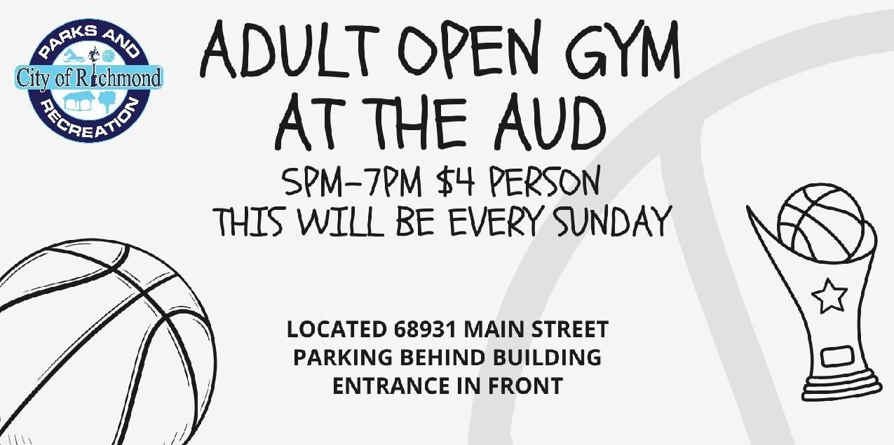 Adult Open Gym